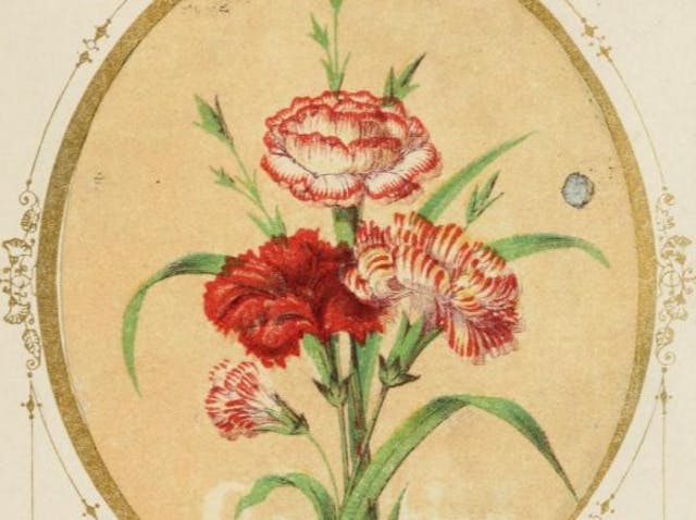 The Language of Flowers: An Alphabet of Floral Emblems (1857)