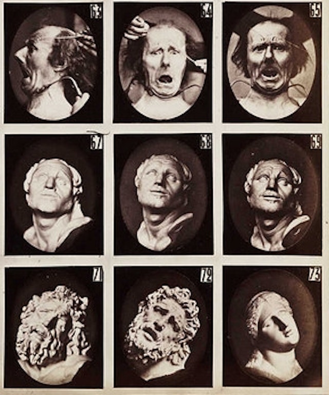 The Mechanism of Human Physiognomy