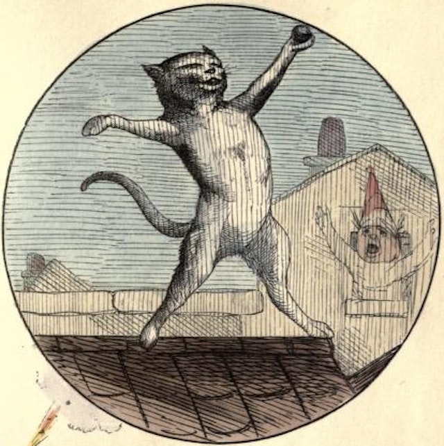 The Nine Lives of a Cat (1860)