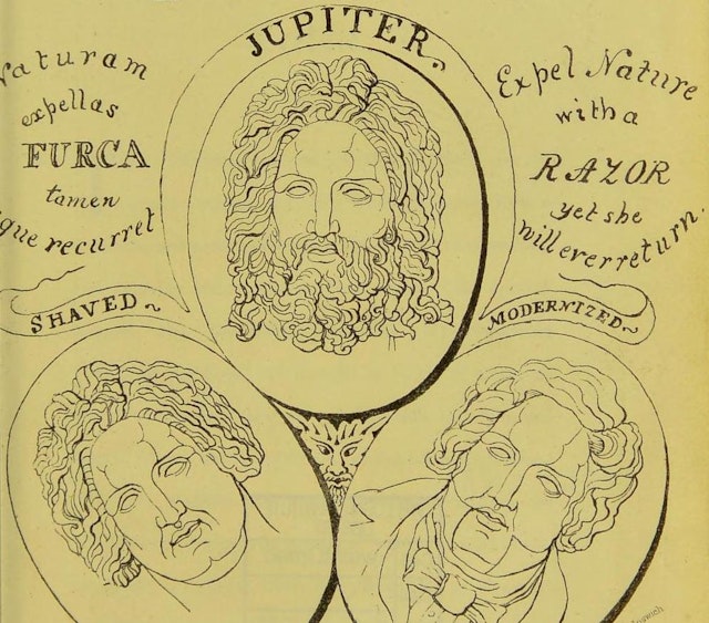 The Philosophy of Beards (1854)
