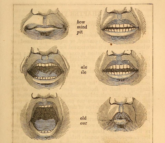 The Postures of the Mouth (1846)