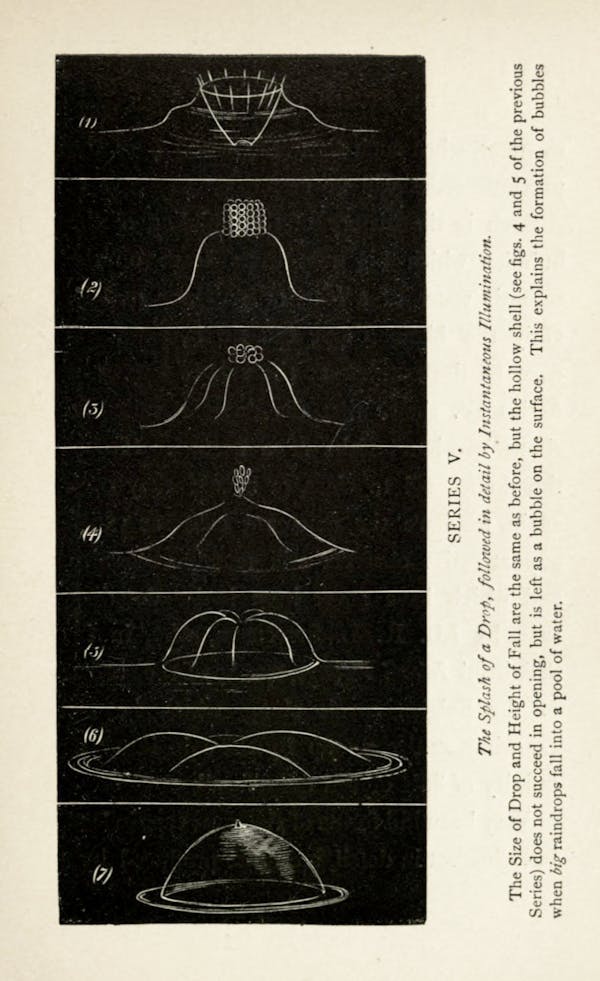 Image from Professor Worthington's The Splash of a Drop