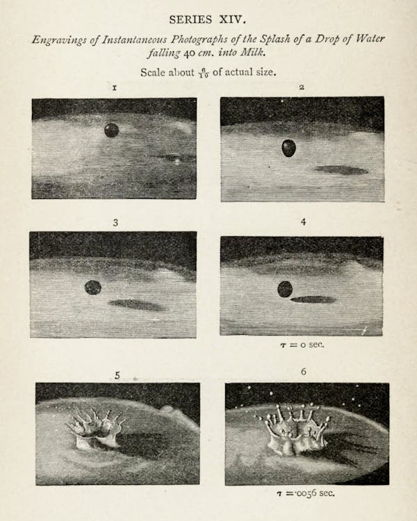 Image from Professor Worthington's The Splash of a Drop