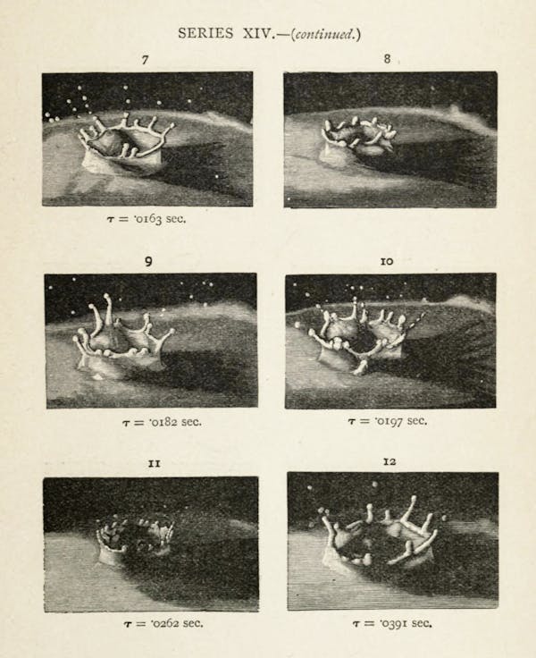 Image from Professor Worthington's The Splash of a Drop