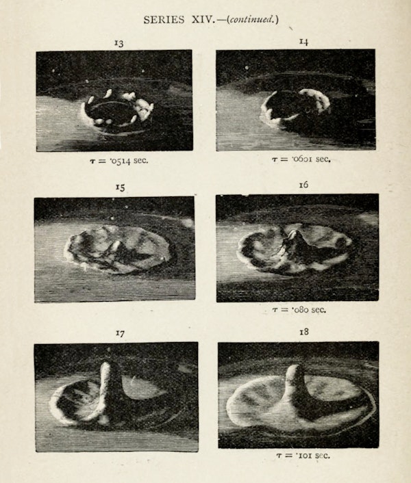 Image from Professor Worthington's The Splash of a Drop