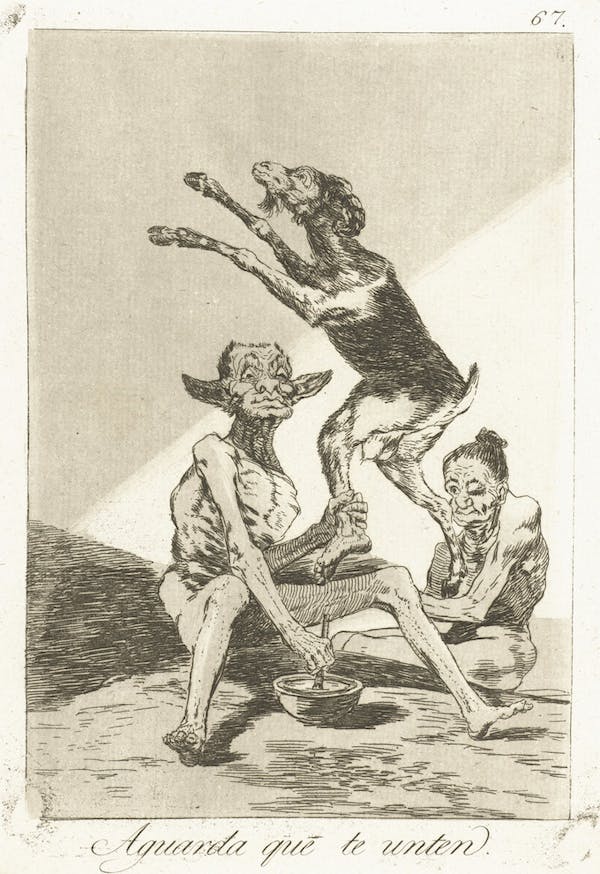 goya