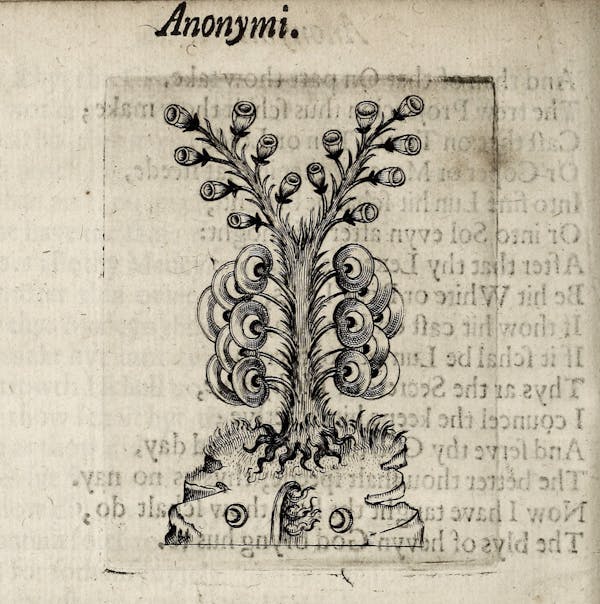 alchemy image from theatrum chemicum