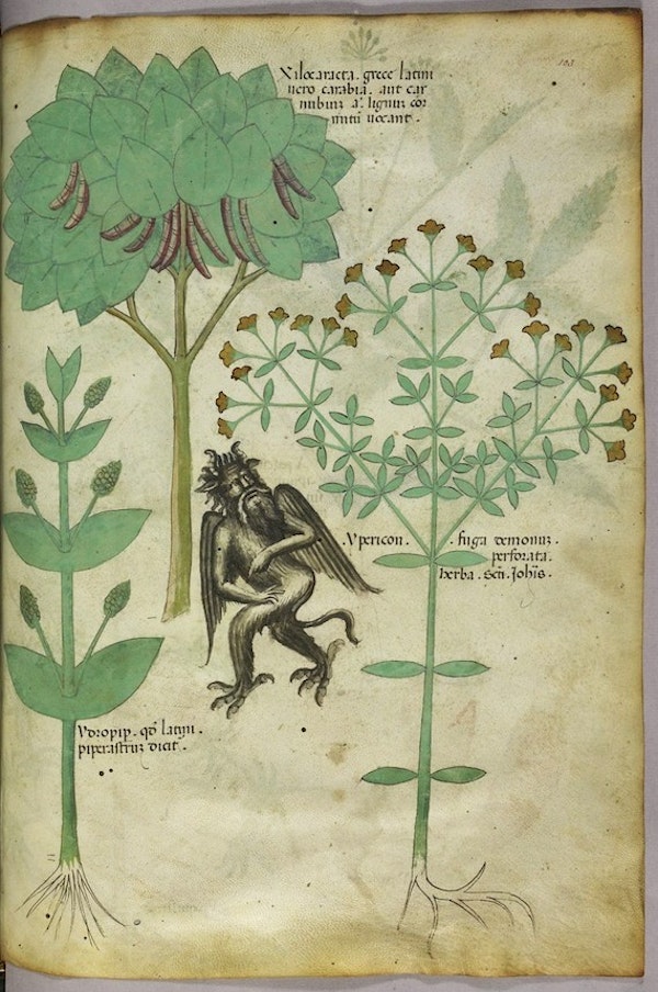 sloane herbal repel devil