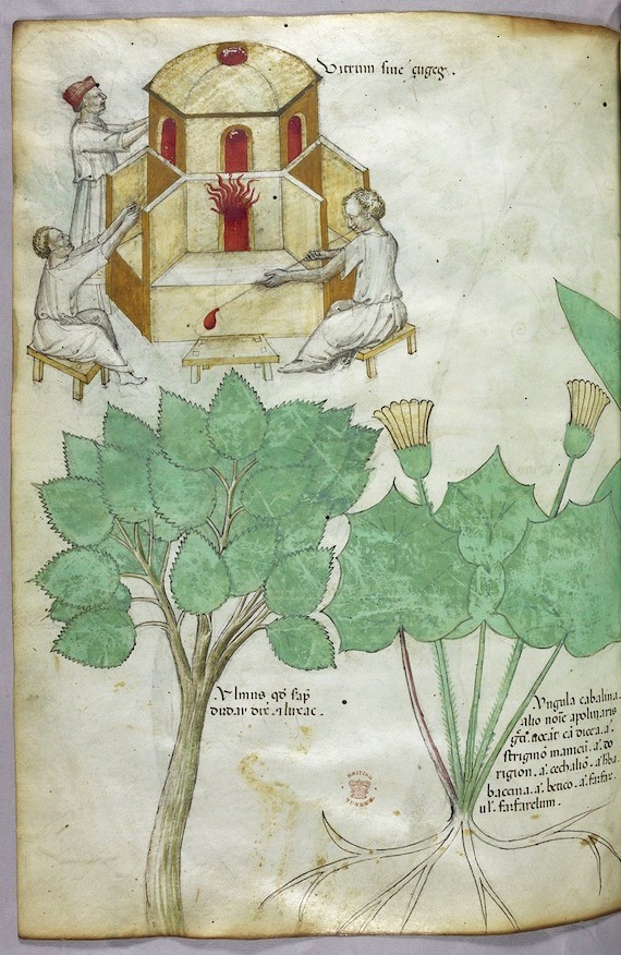 medieval manuscripts with pictures of self castration