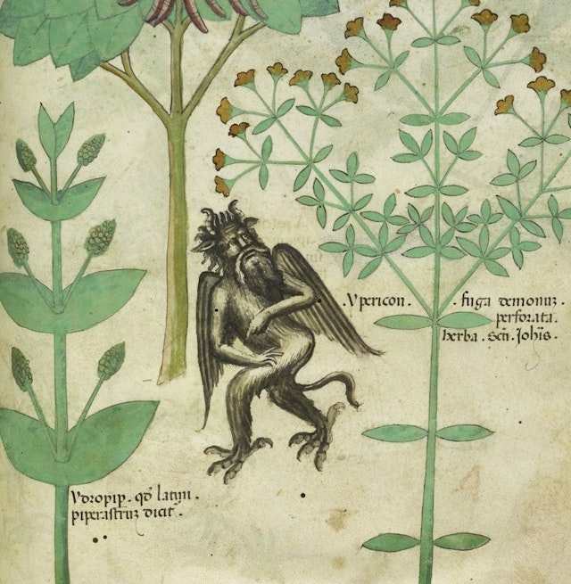 Tractatus de Herbis (ca.1440)