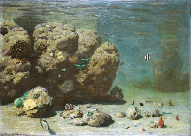 En Pleine Mer: The Underwater Landscapes of Eugen von Ransonnet-Villez