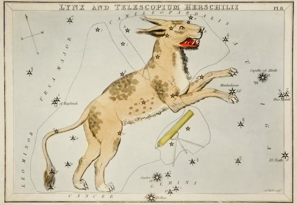 Constellations card from Urania’s Mirror