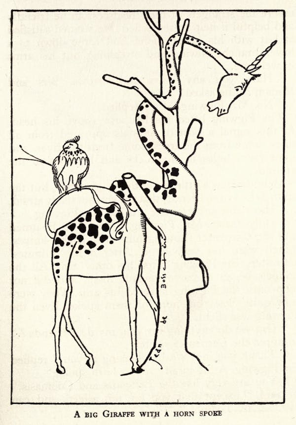 Line illustration from the book Weird Islands