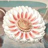 William Sharp’s Chromolithographs of The Great Water Lily (1854)