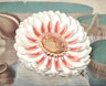 William Sharp’s Chromolithographs of The Great Water Lily (1854)