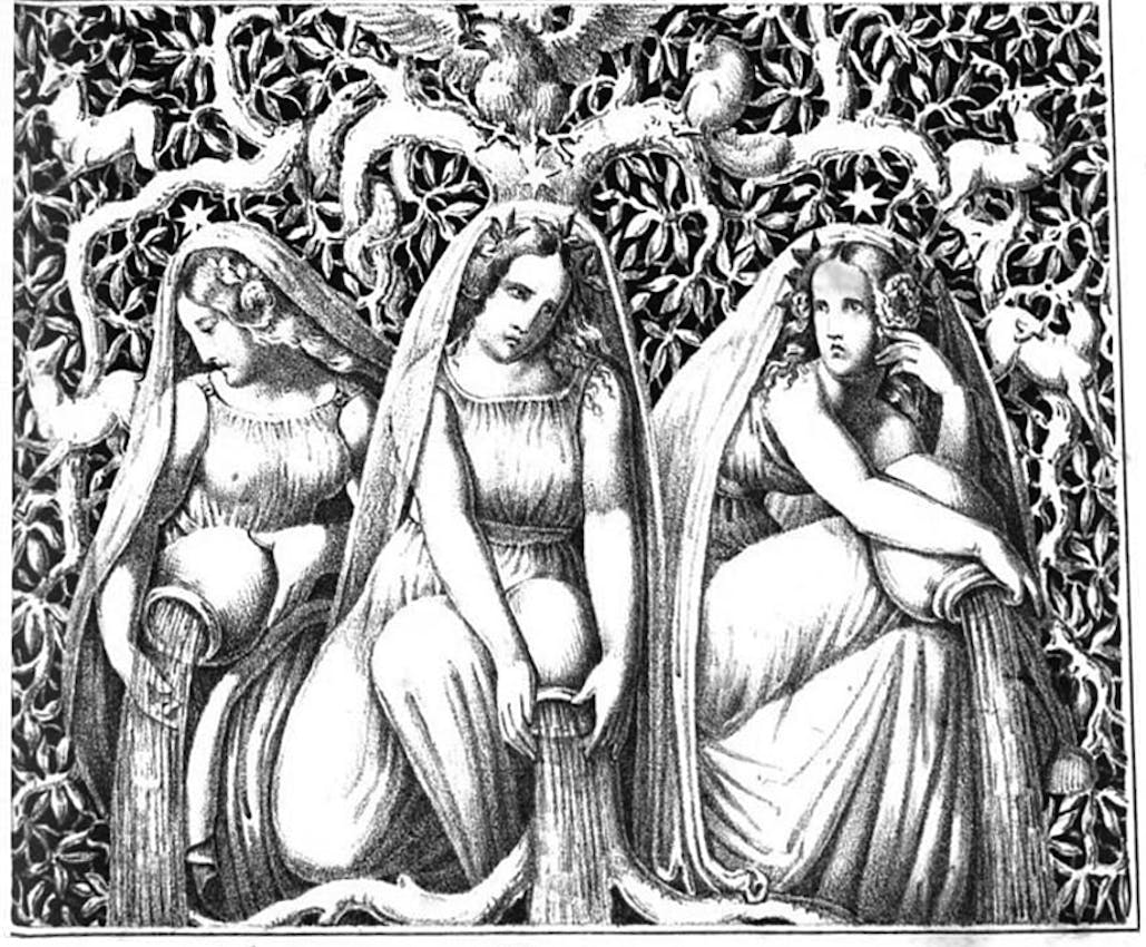 norns