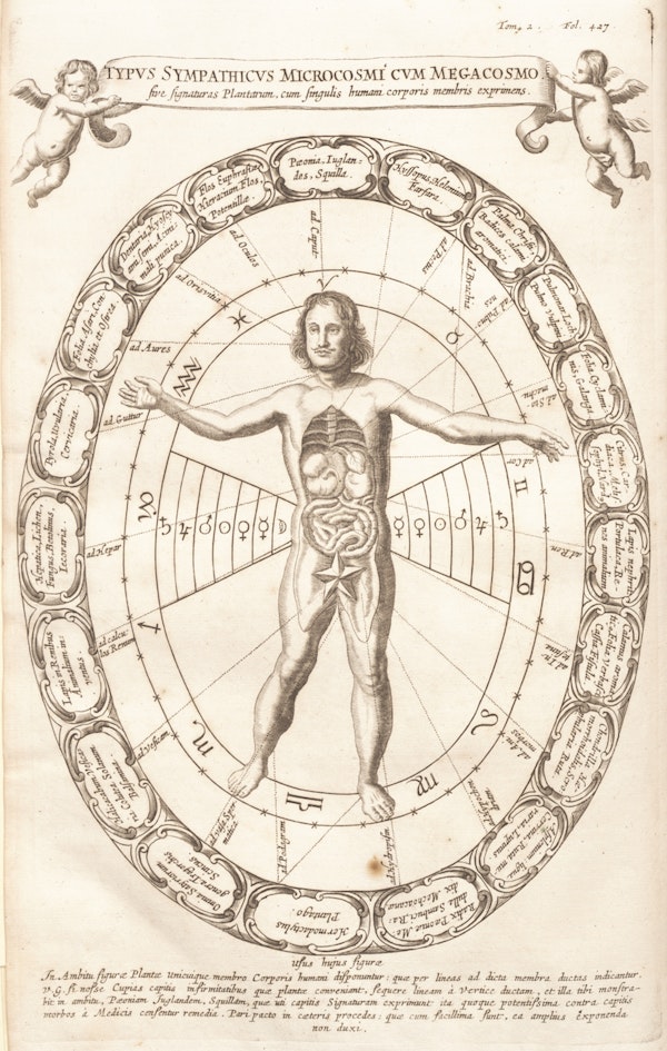 zodiac man illustration