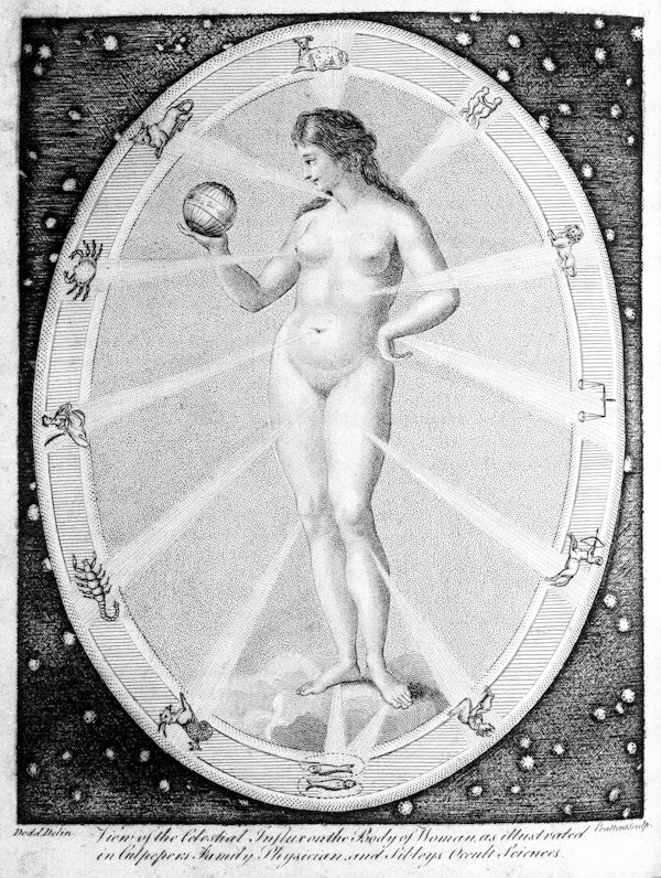zodiac man illustration