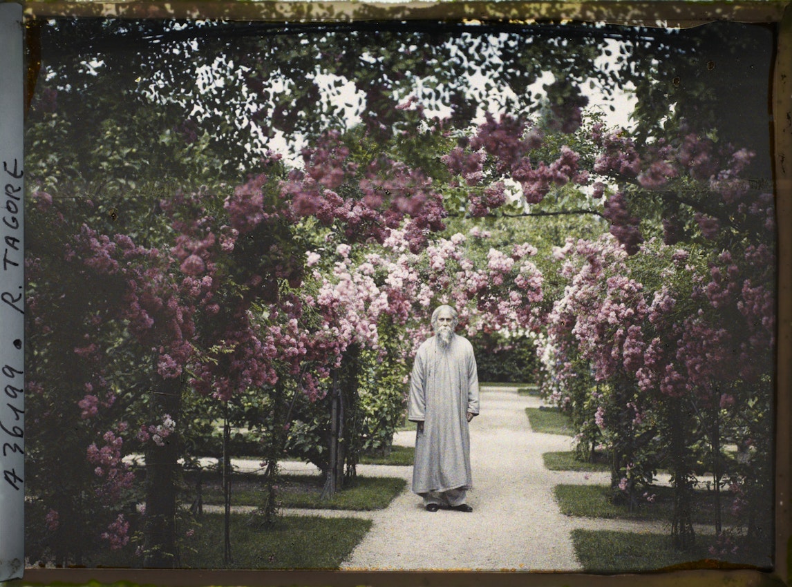 Man with long white beard wearing a light gray robe stands in a garden path surrounded by blooming pink lilac bushes and arching branches.