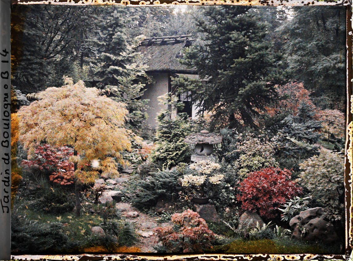 Winding stone pathway through Japanese garden leads to rustic thatched tea house, featuring golden maple trees, crimson Japanese maples, stone lantern, and layered evergreen plantings creating depth and seasonal color throughout the composition.