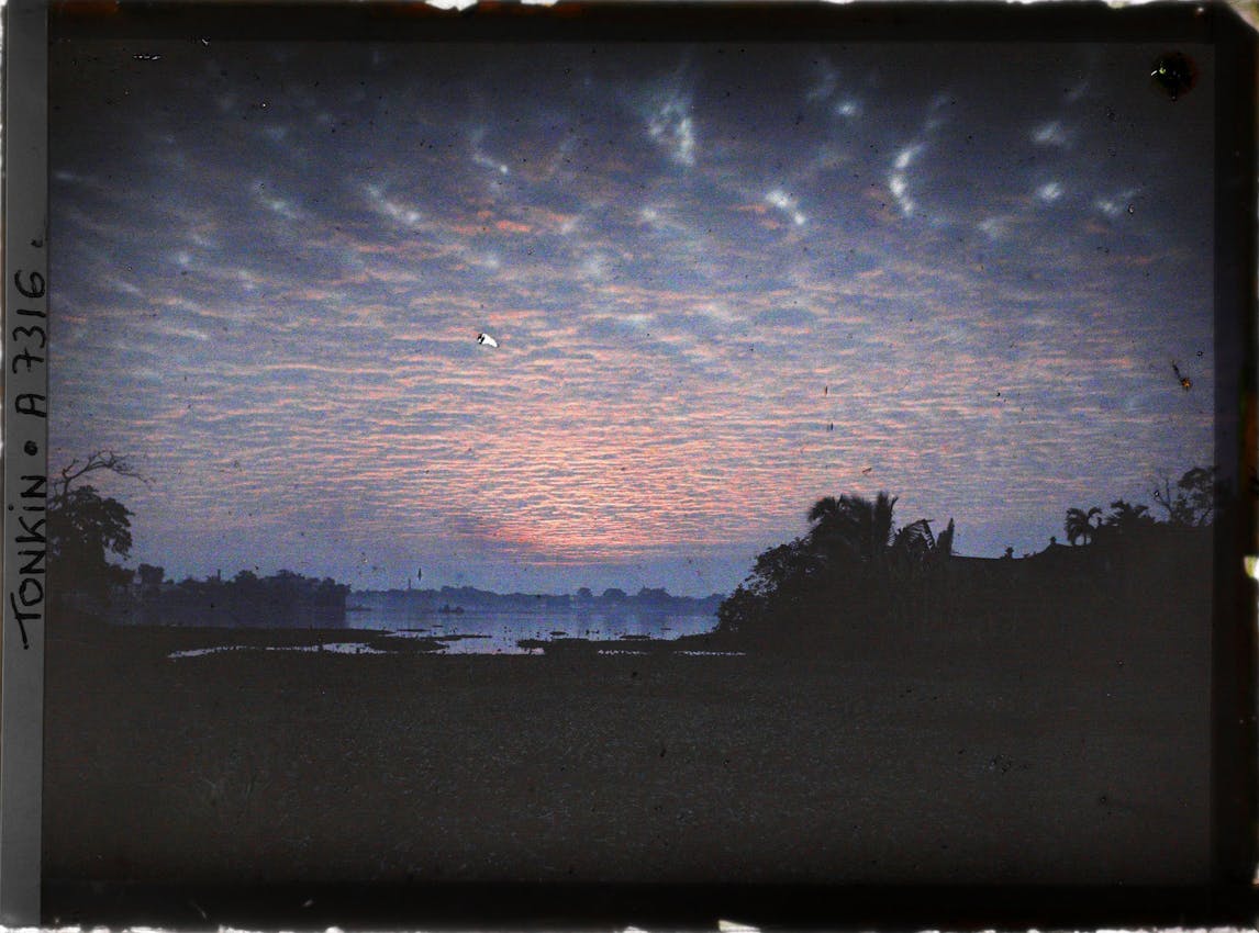 Pink and purple rippled clouds stretch across dawn sky over dark silhouettes of palm trees and buildings near water's edge.