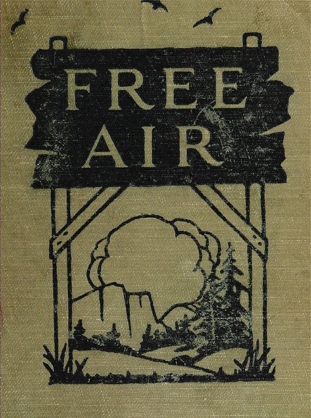 free air sinclair lewis