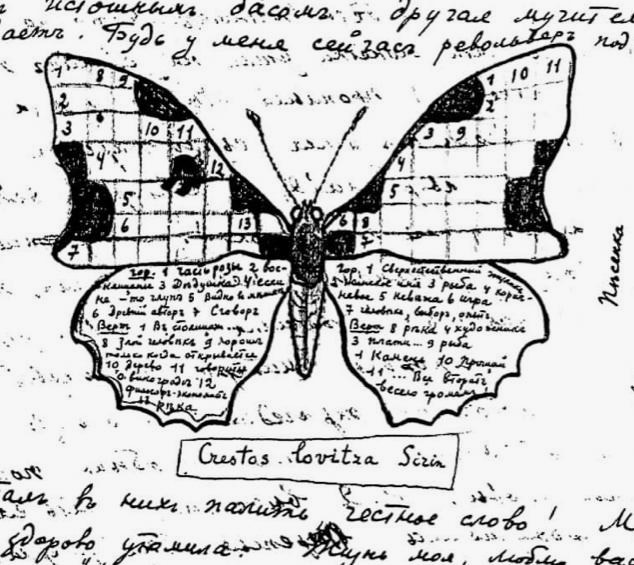 handrawn crossword in the shape of a butterfly