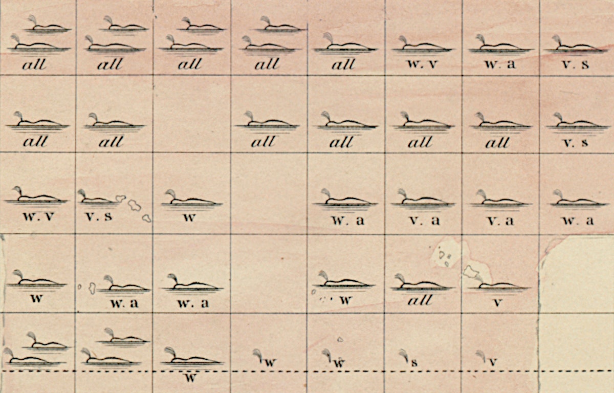 Detail from a whale chart by Matthew Fontaine Maury, images of whales with in a grid