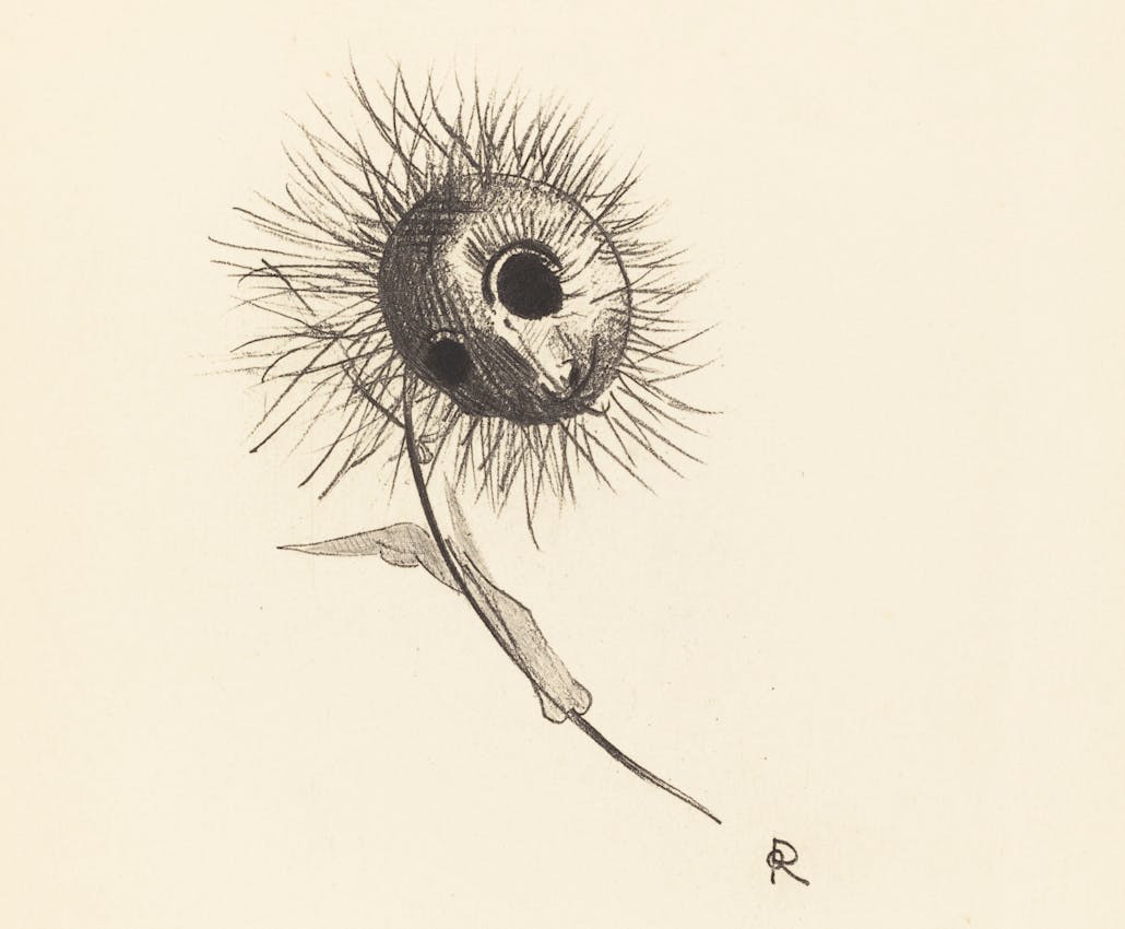 odilon redon fleur de mal