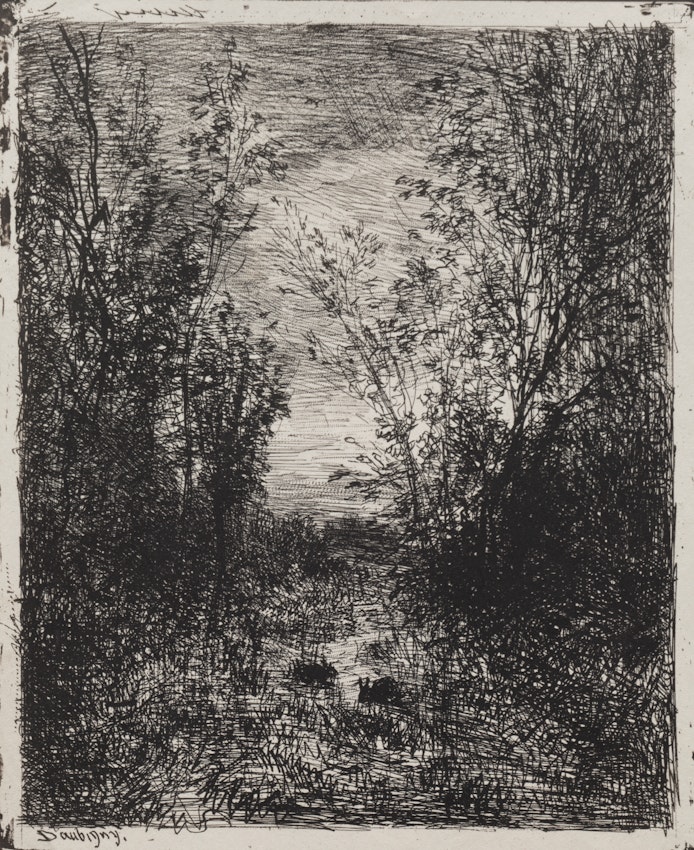 Black and white etching of a dense forest path with trees on either side and a clearing in the distance