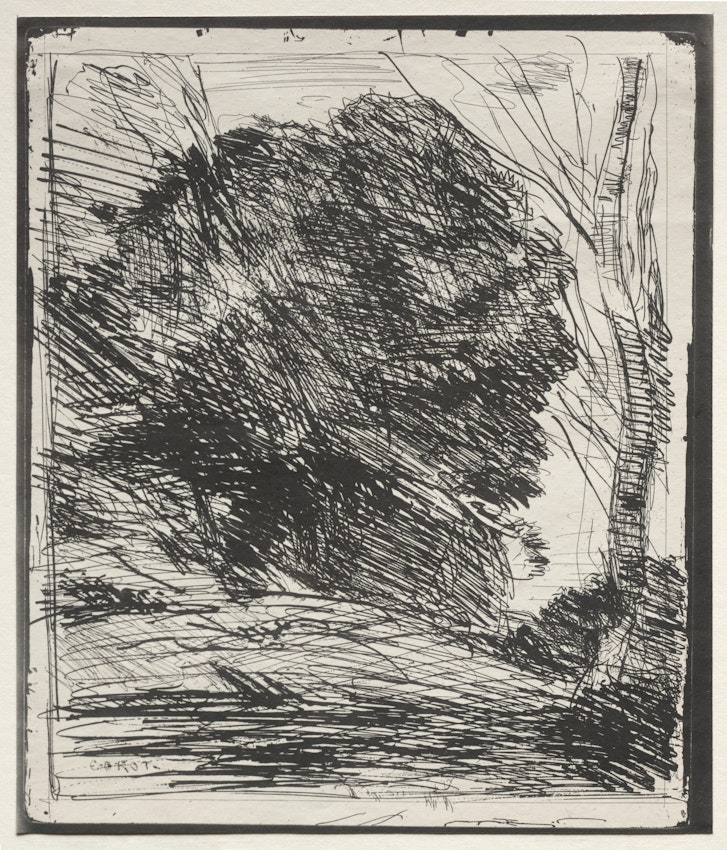 Artistic monochrome etching of a woodland scene with dynamic, bold strokes showing a large tree at the center, with the artist’s signature.