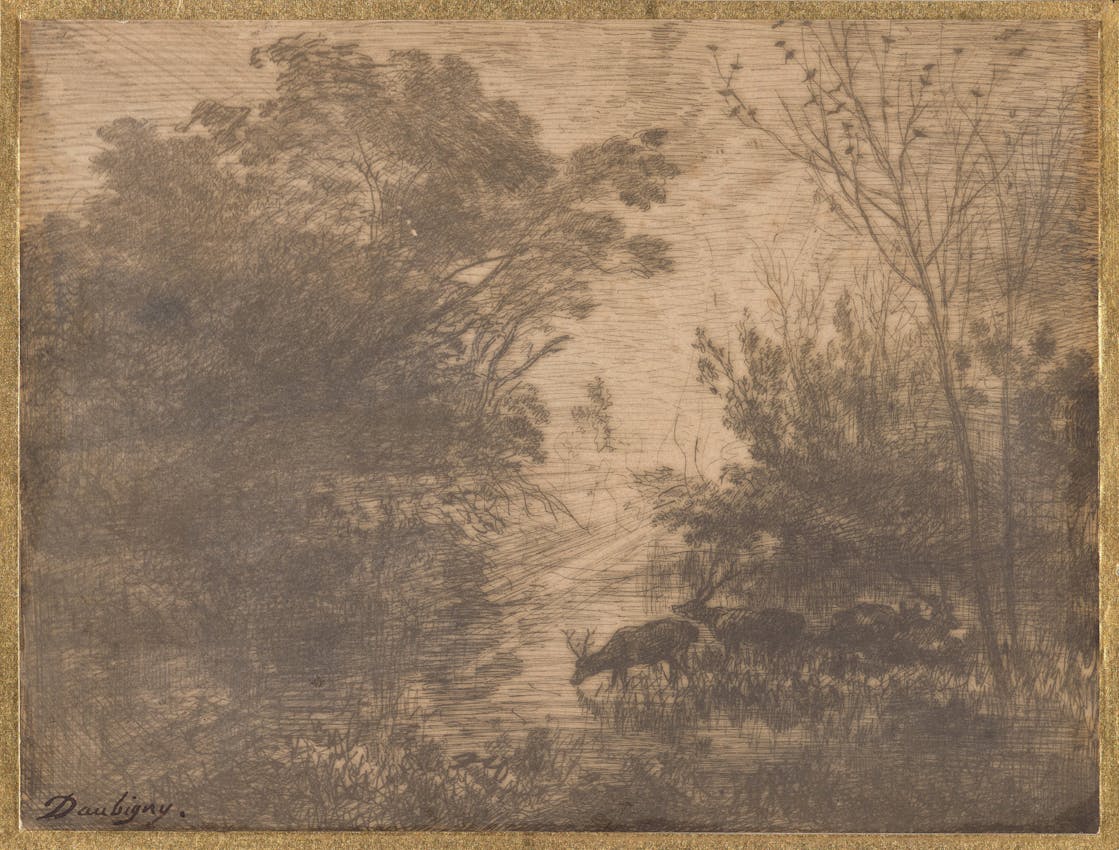 Sepia-toned artwork showcasing deer in natural habitat with delicate foliage details, bearing 'Daubigny' signature