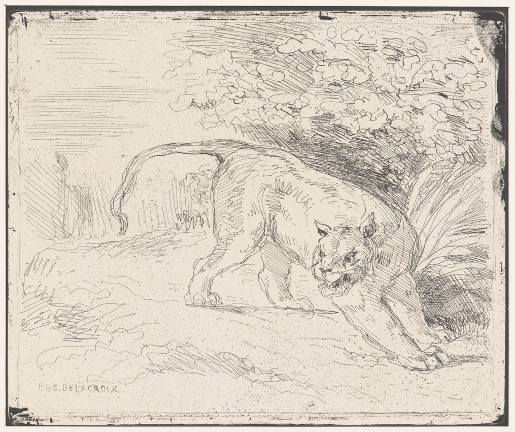 Sketch of a tiger walking through a natural landscape, showcasing the muscular build and focused gaze with raw artistic strokes