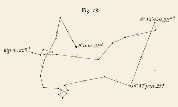 “Spontaneous Revolutions”: Darwin’s Diagrams of Plant Movement