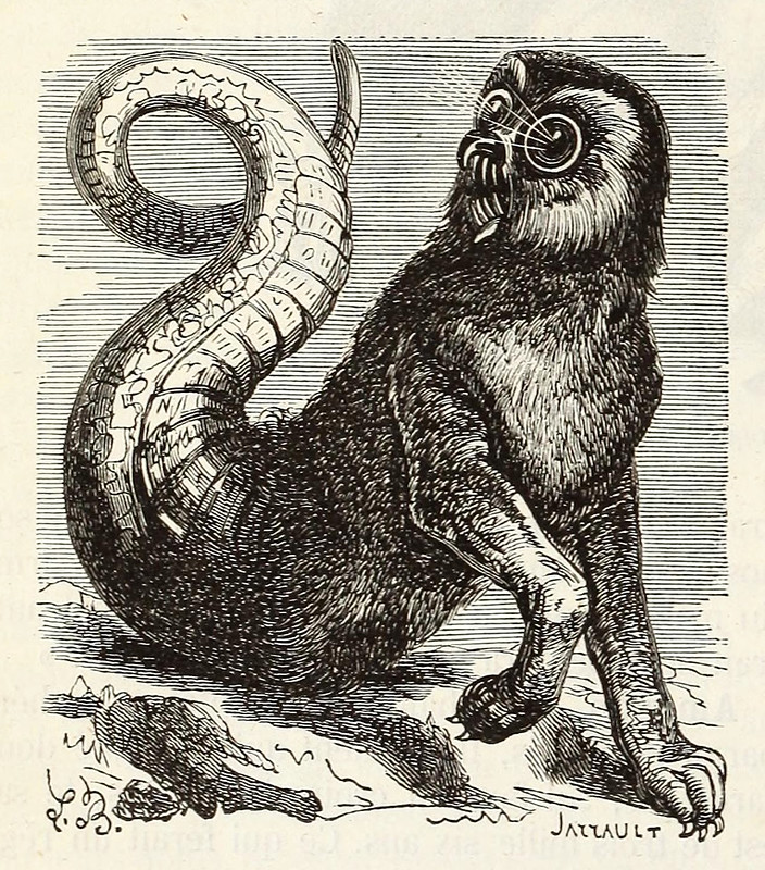 dictionnaire infernal illustrations