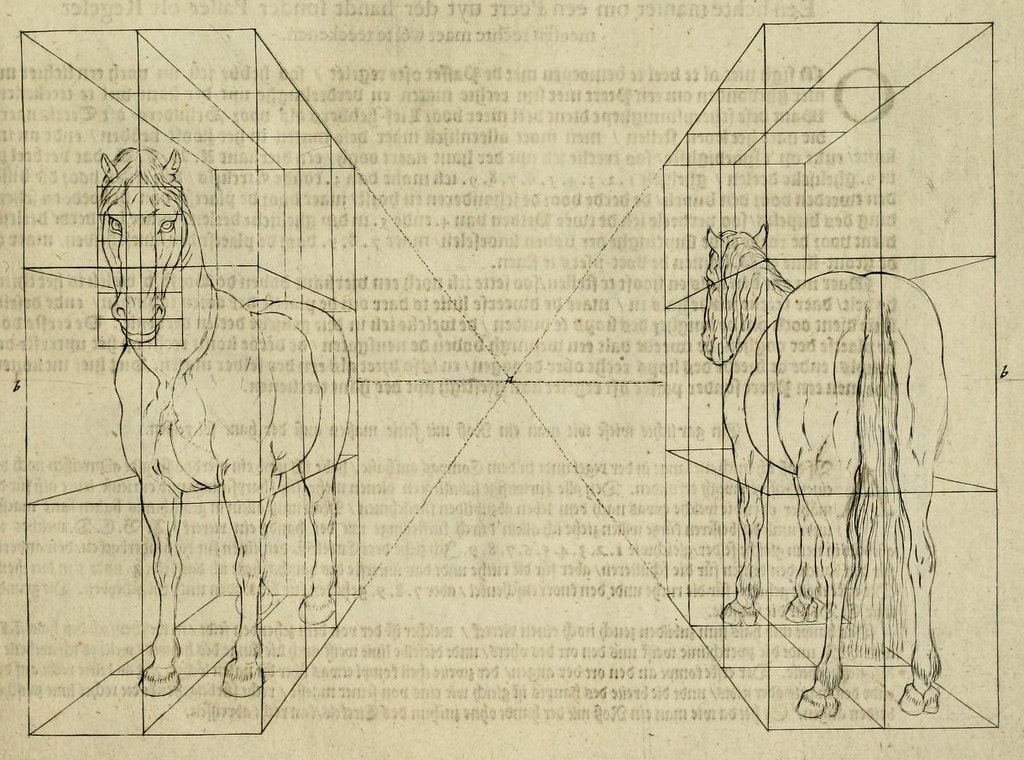 horse geometry how to draw
