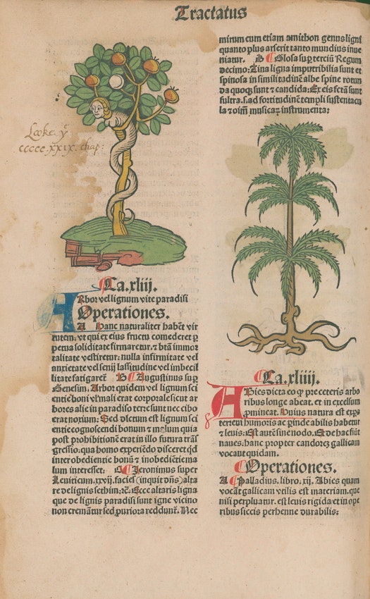 herbal manuscript