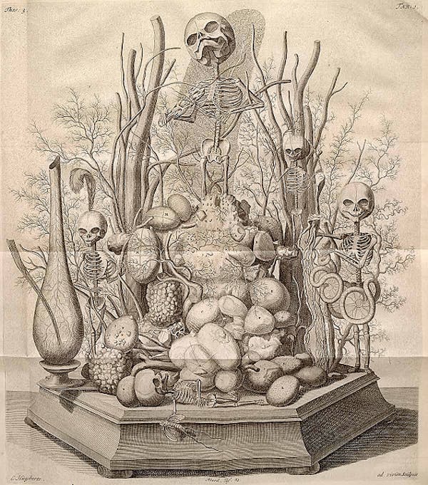 Frederik Ruysch: The Artist of Death