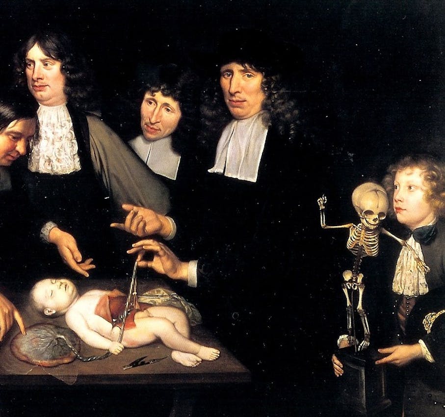 anatomy lesson ruysch