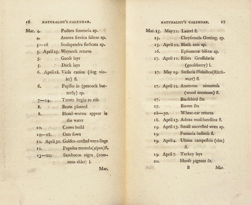 A two-page excerpt from a naturalist’s calendar noting the seasonal appearances of various insects, birds, and plants.