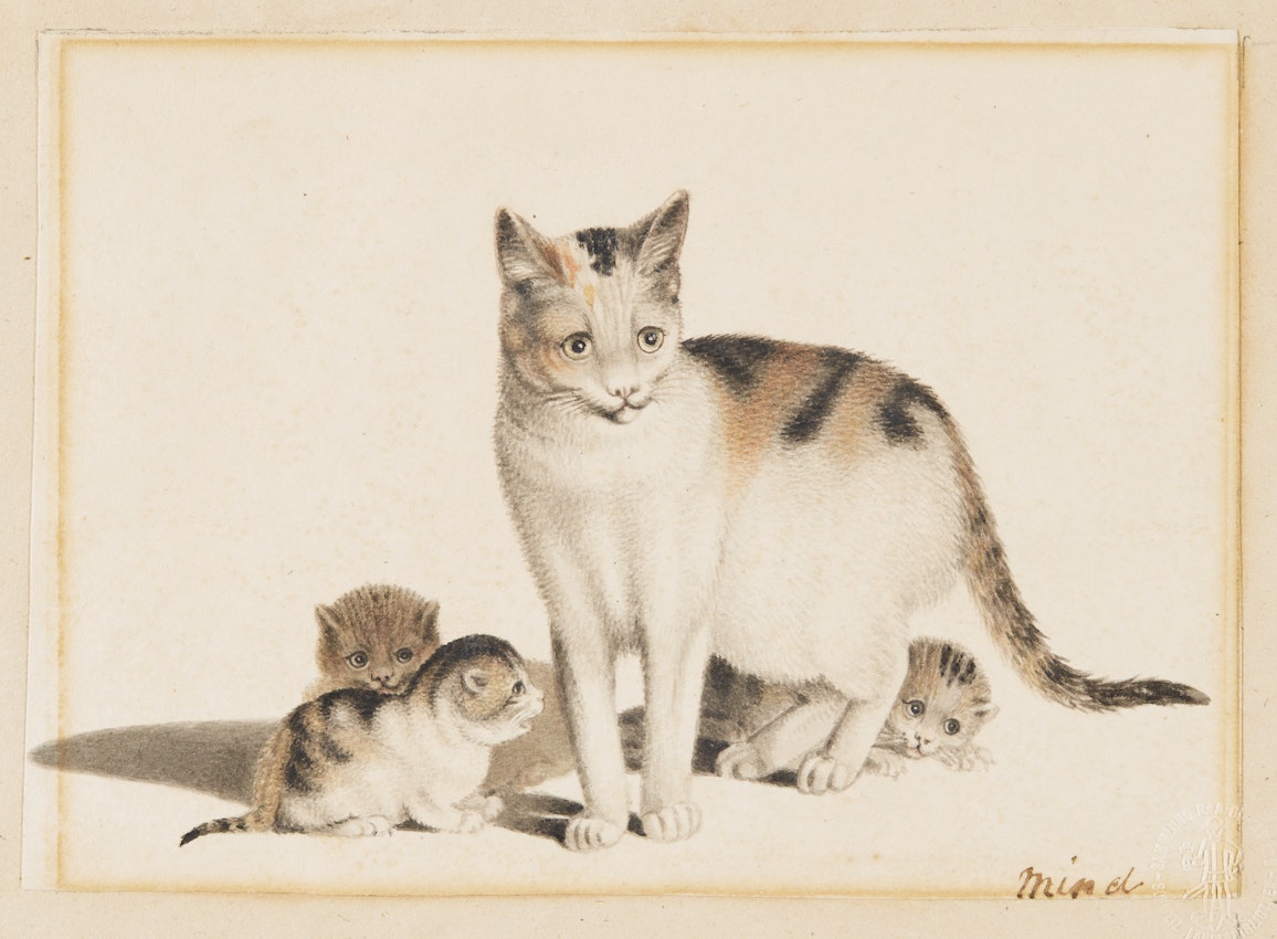 A mother cat stands protectively with her three kittens huddled close to her, all looking in different directions.