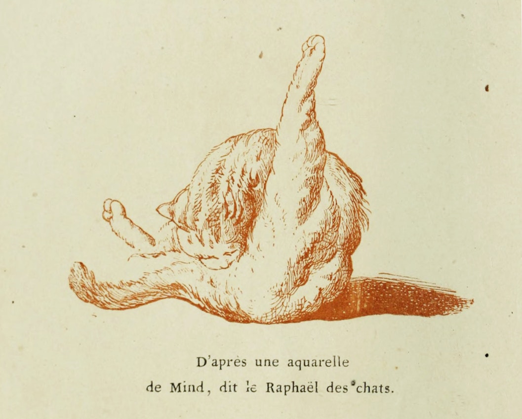 The illustration depicts the same grooming pose as in the image above, and the text underneath refers to Mind as the artist