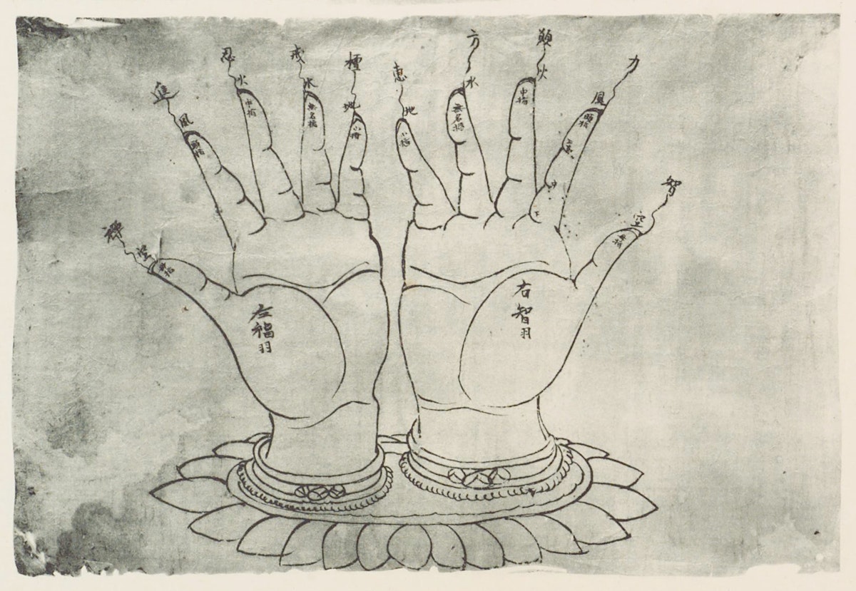 1: Example of the hand shape with five fingers identities.