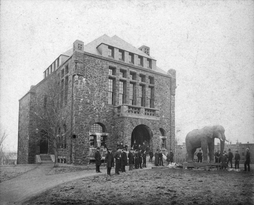 Taxidermy model of an elephant standing on a cart outside of a stone building with onlookers