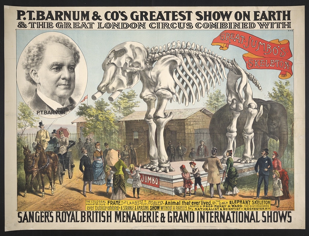 Colored poster portrays a bust of P.T. Barnum in a cartouche overlooking showgoers visiting the Jumbo’s skeleton as an attraction