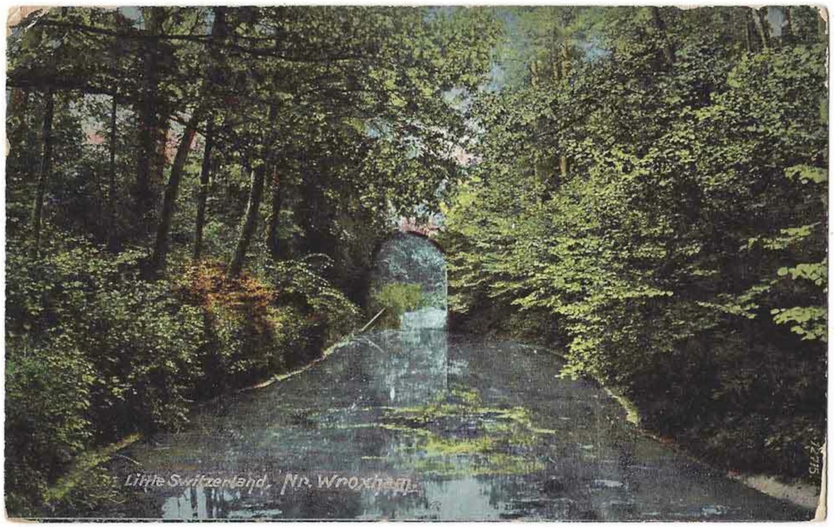 A stream with dense green foliage on either side