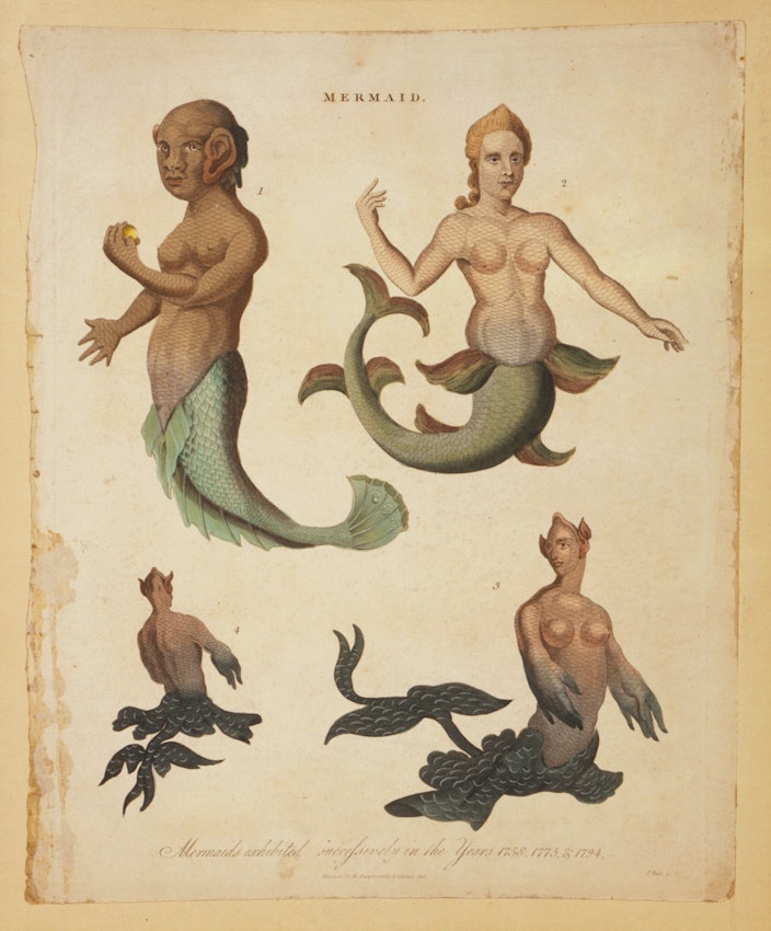 engraving by John Paas of mermaids