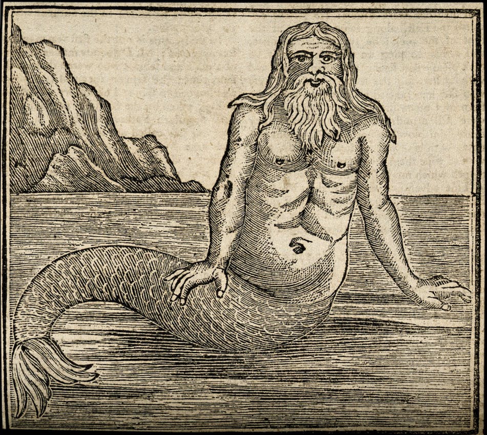 martinique merman triton