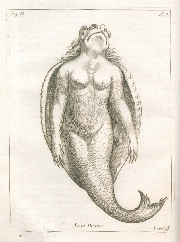 17th-century mermaid illustration 