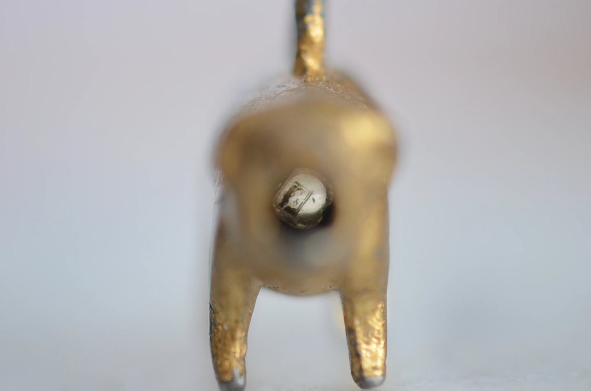 Close-up of brass or bronze pig with focus on the image contained with in